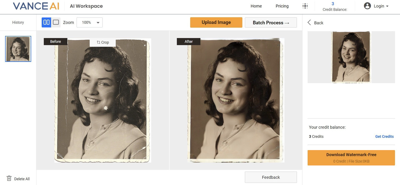 8 Best Old Photo Restoration Solutions To Bring History To Life