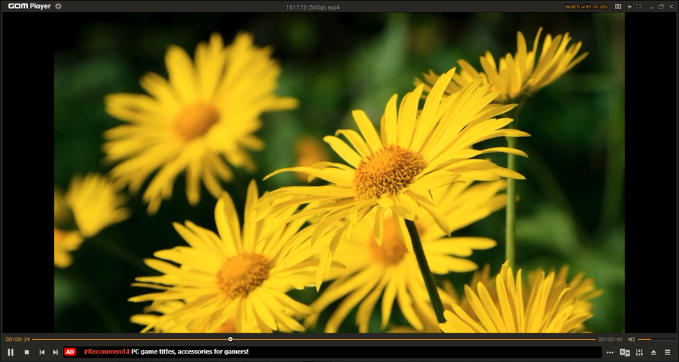 GOM Media Player