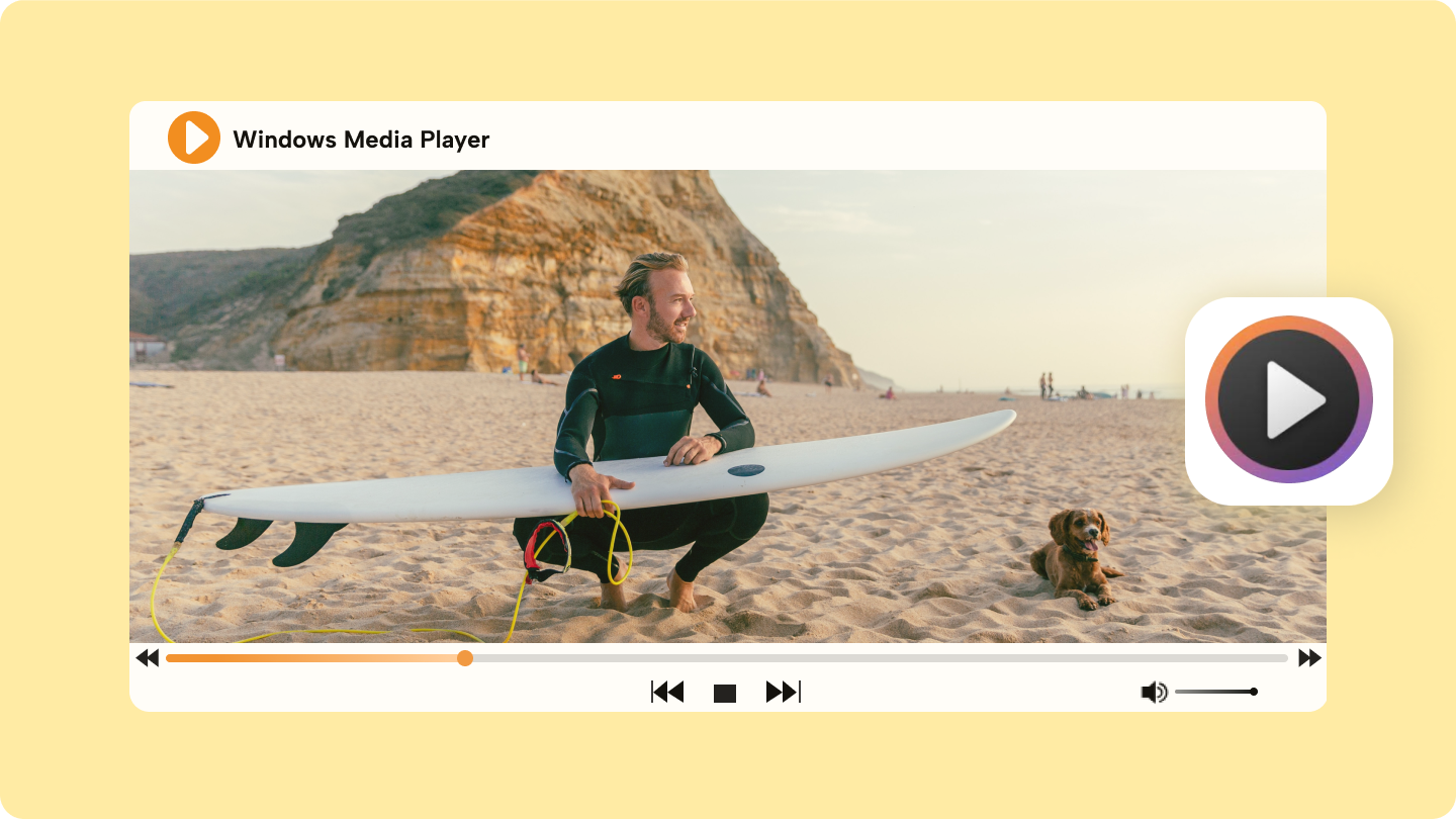 Mastering Windows Media Player: Your Ultimate Guide