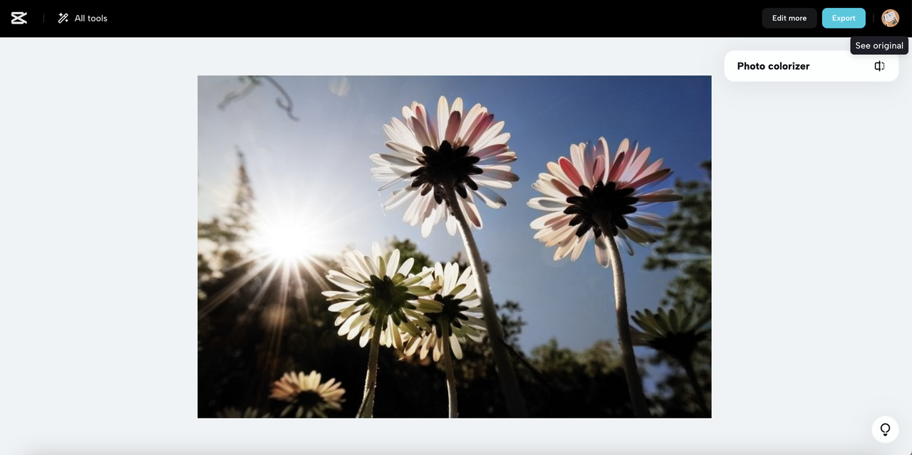 Colorir imagens com ferramentas mágicas de IA e efeitos fotográficos