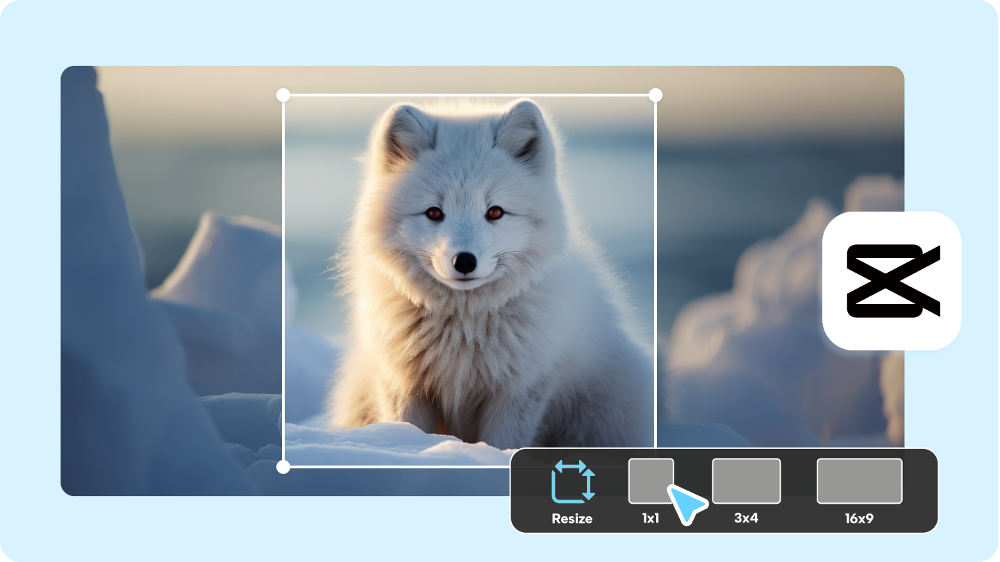 1x1 picture editor