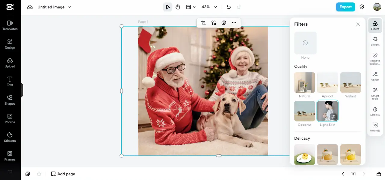 Apply a ready-to-use filter to retouch pixel images