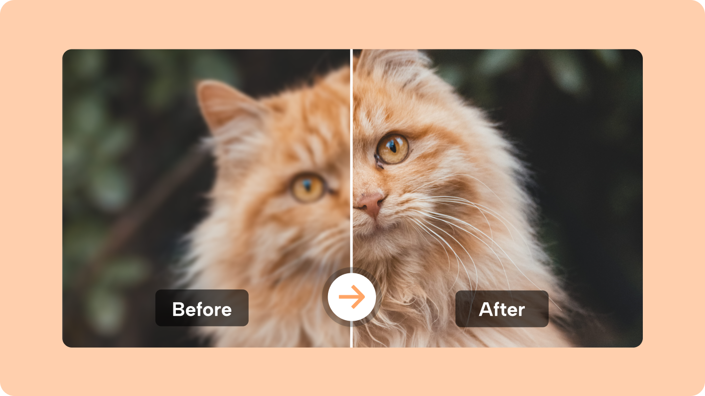 Transforming Visuals with Precision Using High Quality Image Converter