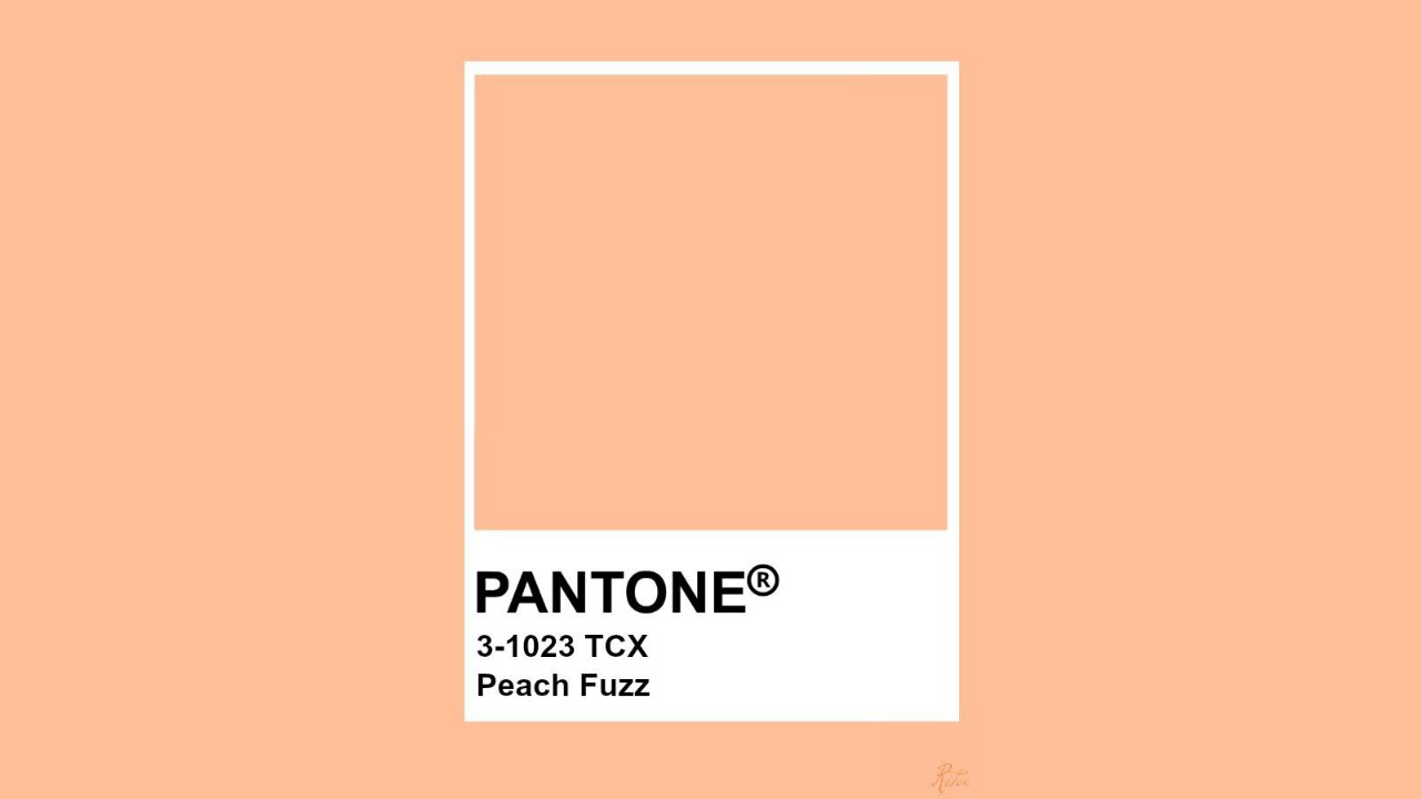Peach Fuzz - color of 2024