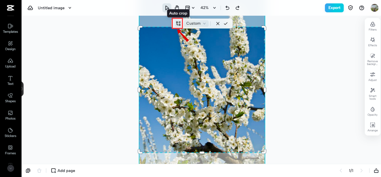 “Auto crop” feature at CapCut online