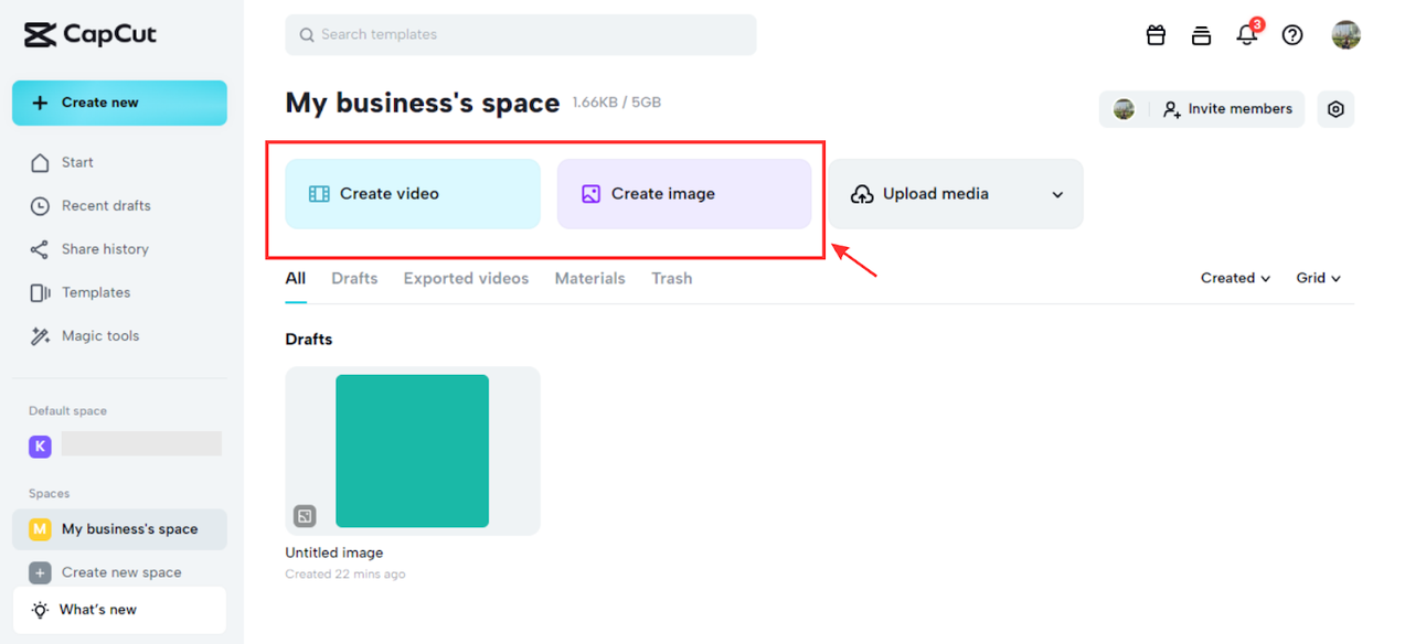 Create video or image