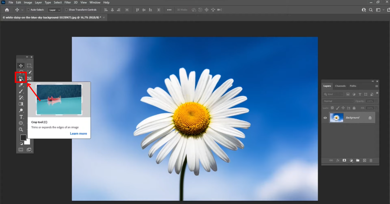 Select the crop tool on Photoshop