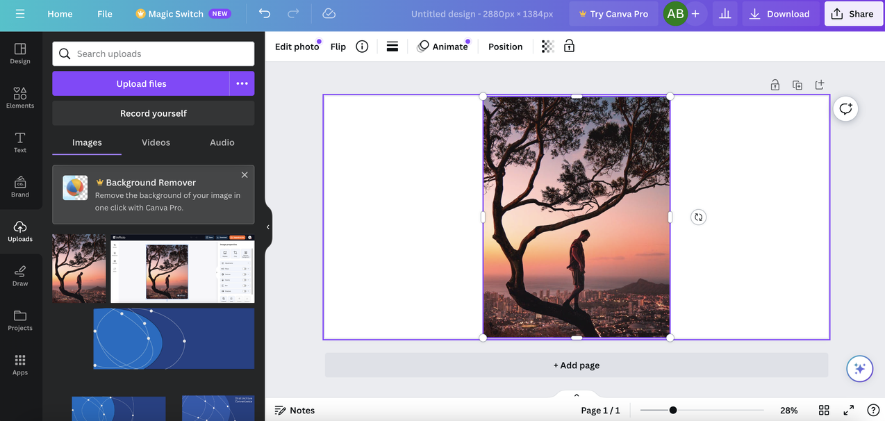 Canva blur images editor