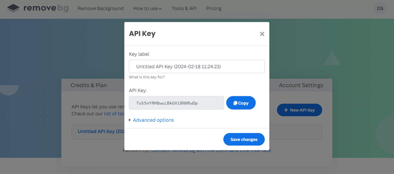 Copy API key from remove.bg dashboard