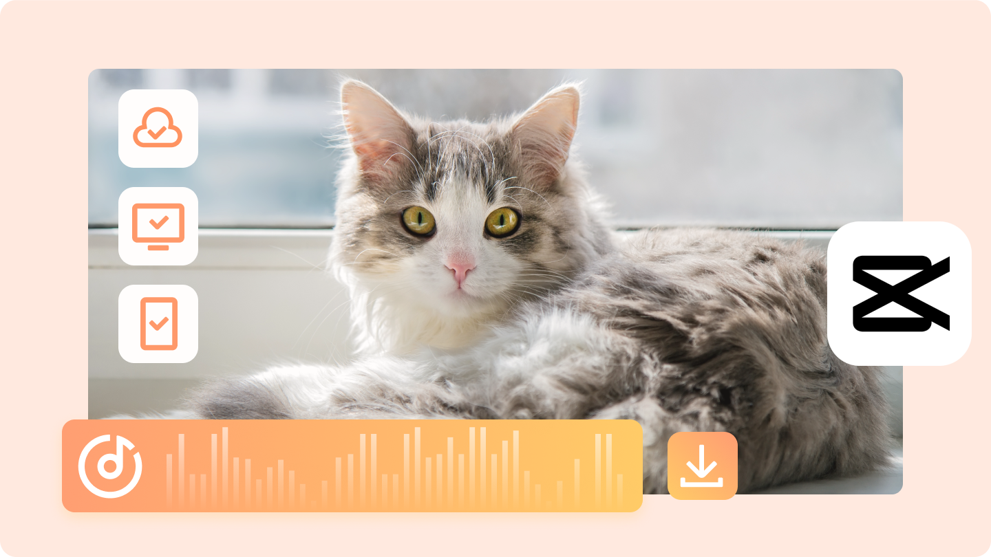 Baixe Adorable Cat Sound MP3s para seus projetos