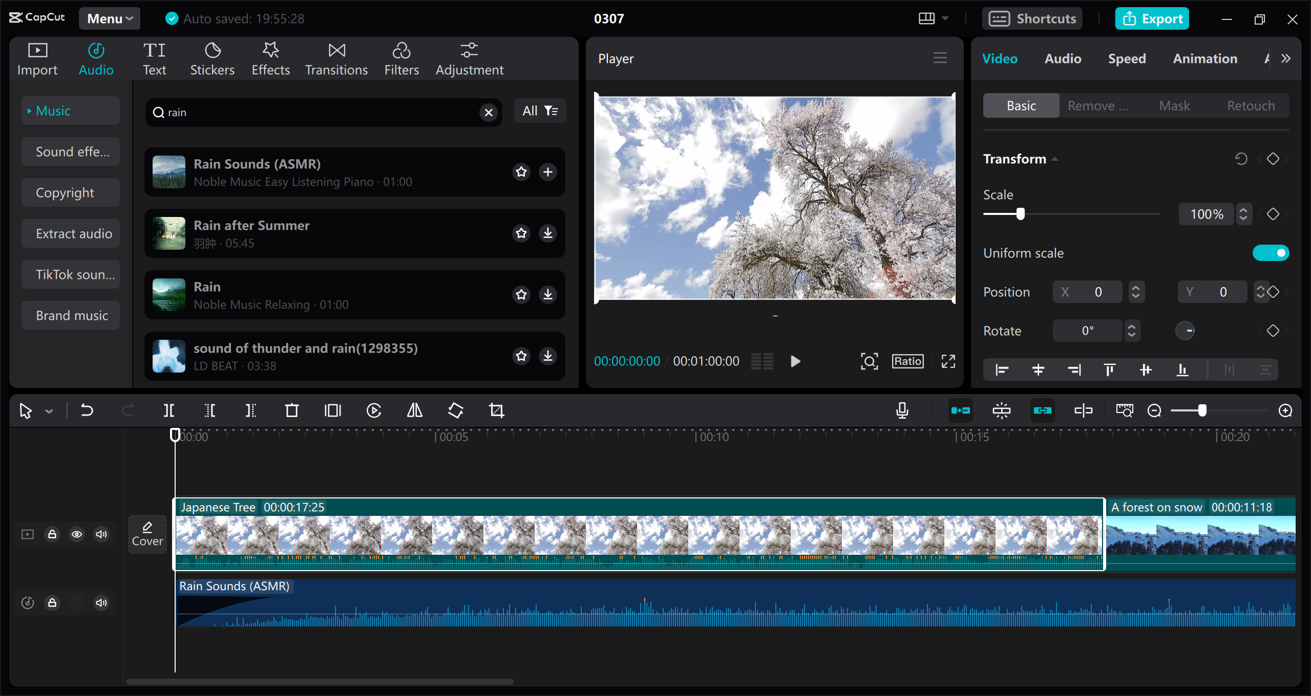 Download rain sounds for video creation: CapCut desktop video editor