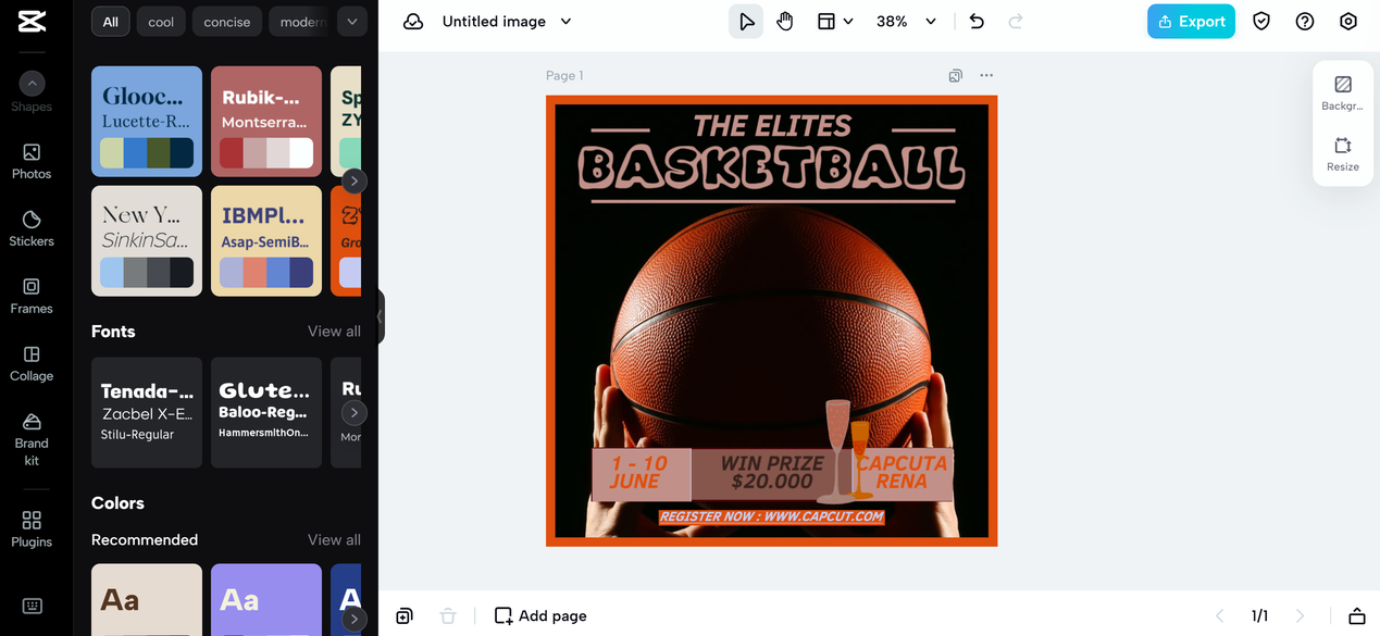 Select the best color scheme for the basketball logo color palette