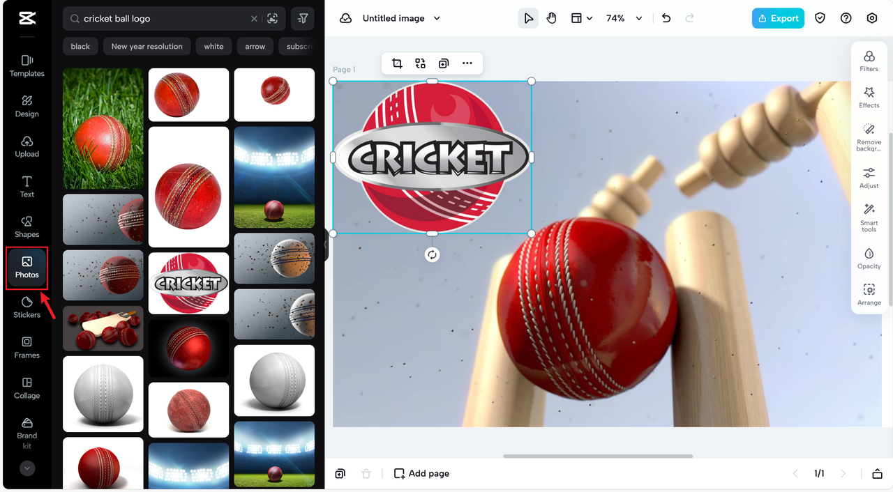 Apply extensive cricket logo designs