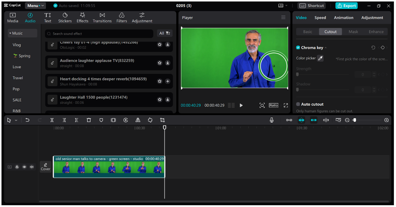 The ultimate green screen editing software: CapCut 