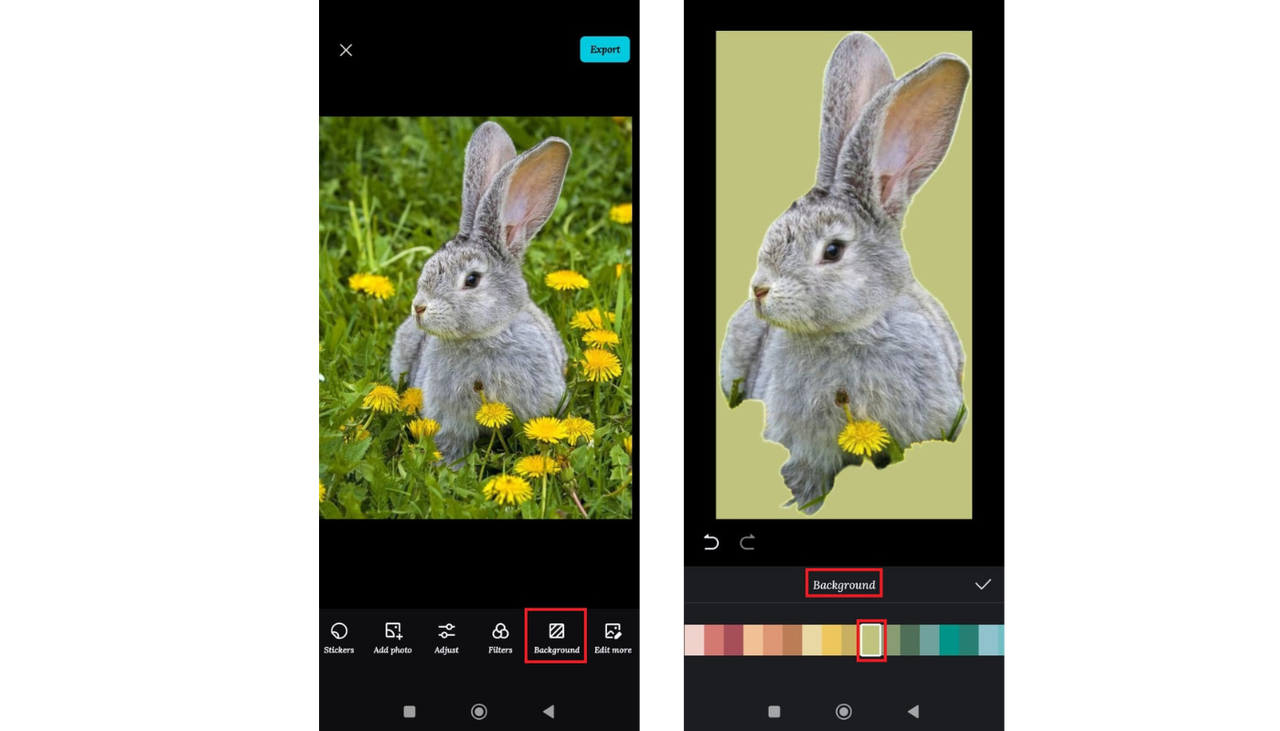 Unleash Your Inner Photographer with CapCut Photo Enhancer App