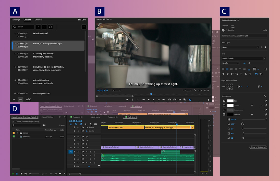 Add Premiere Pro captions 