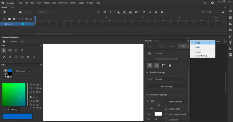 Adobe Animate interface