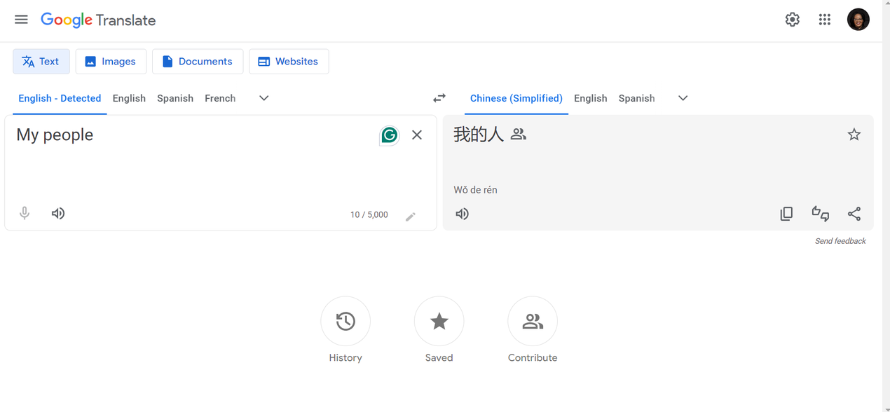 Google translate interface