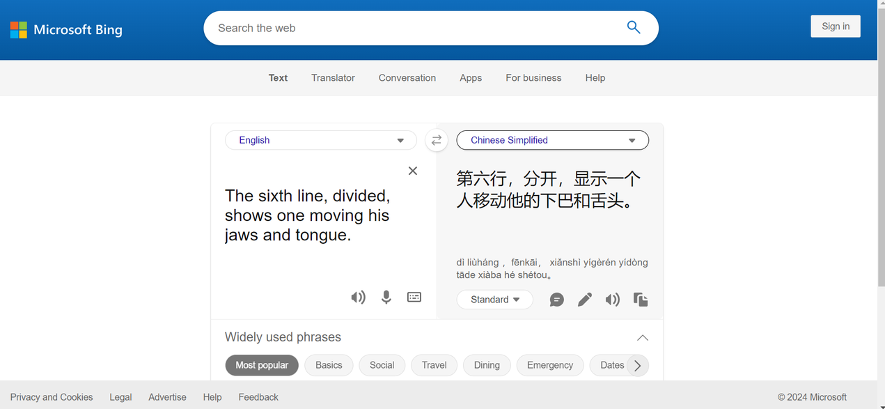 Bing translate interface