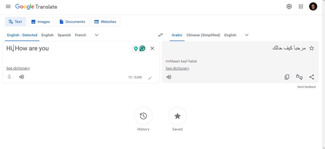 Google translate interface
