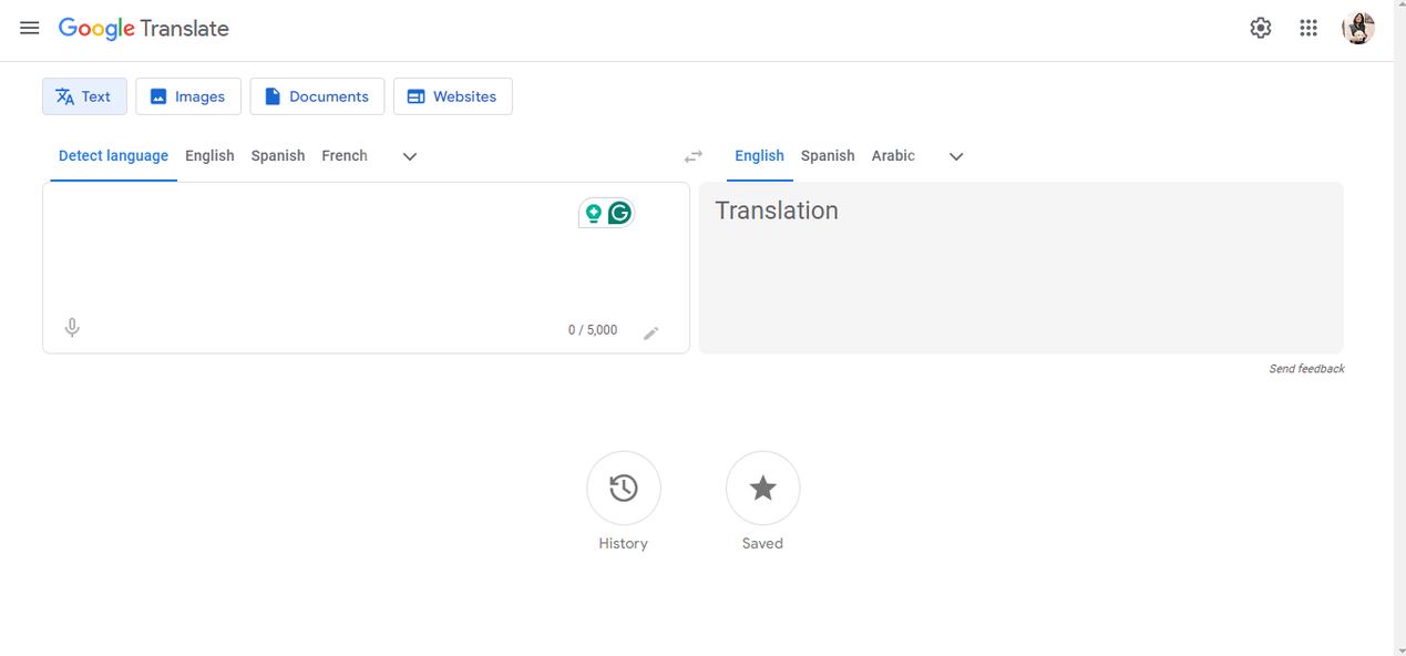 Google Translate Interface