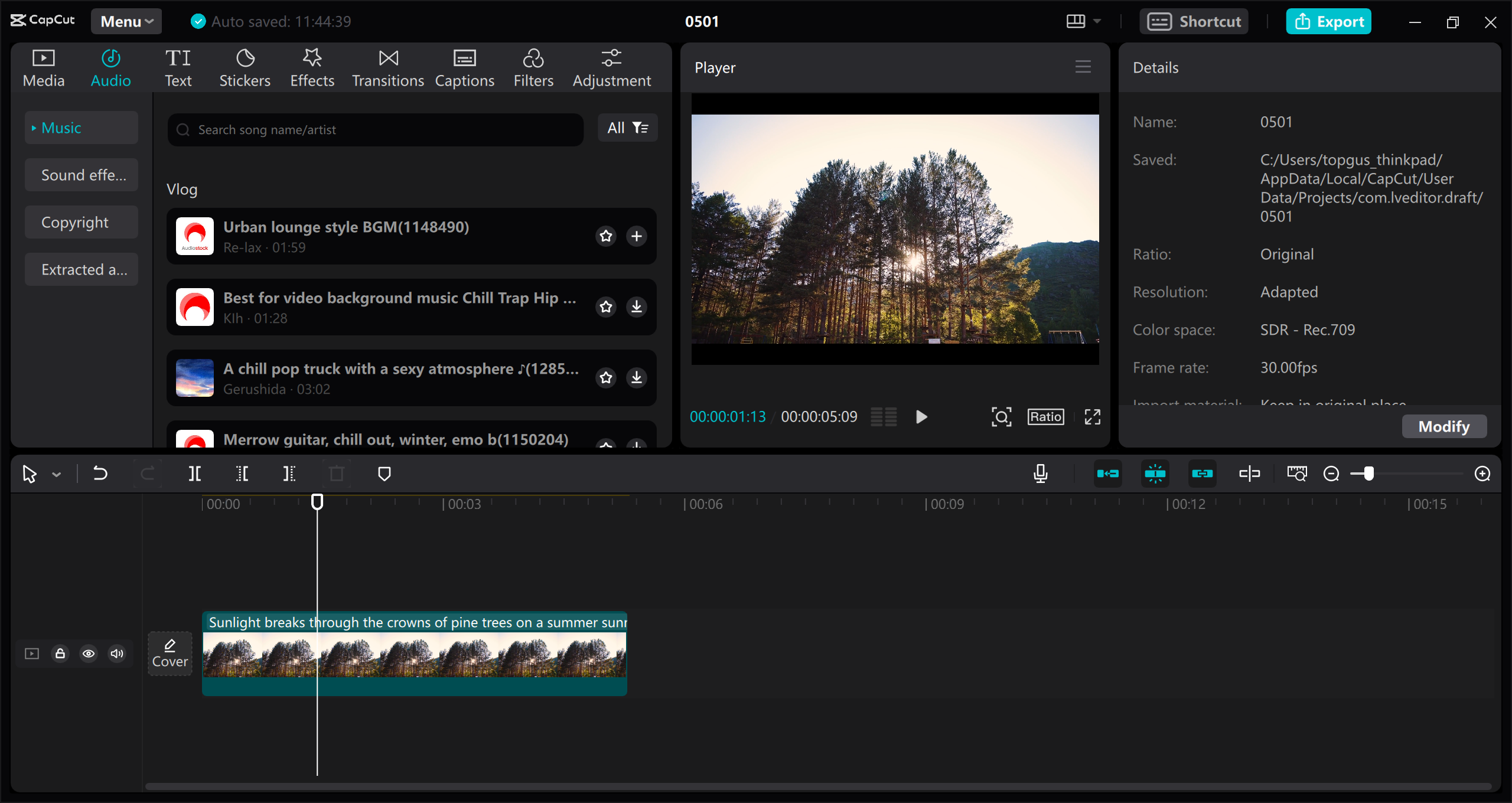 CapCut video editor