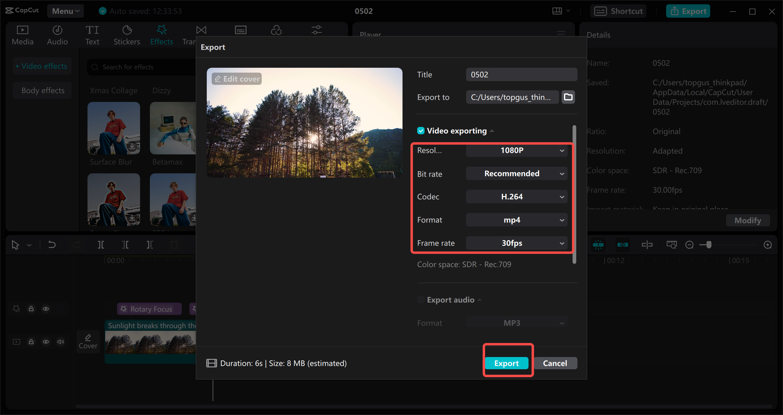 Select video format