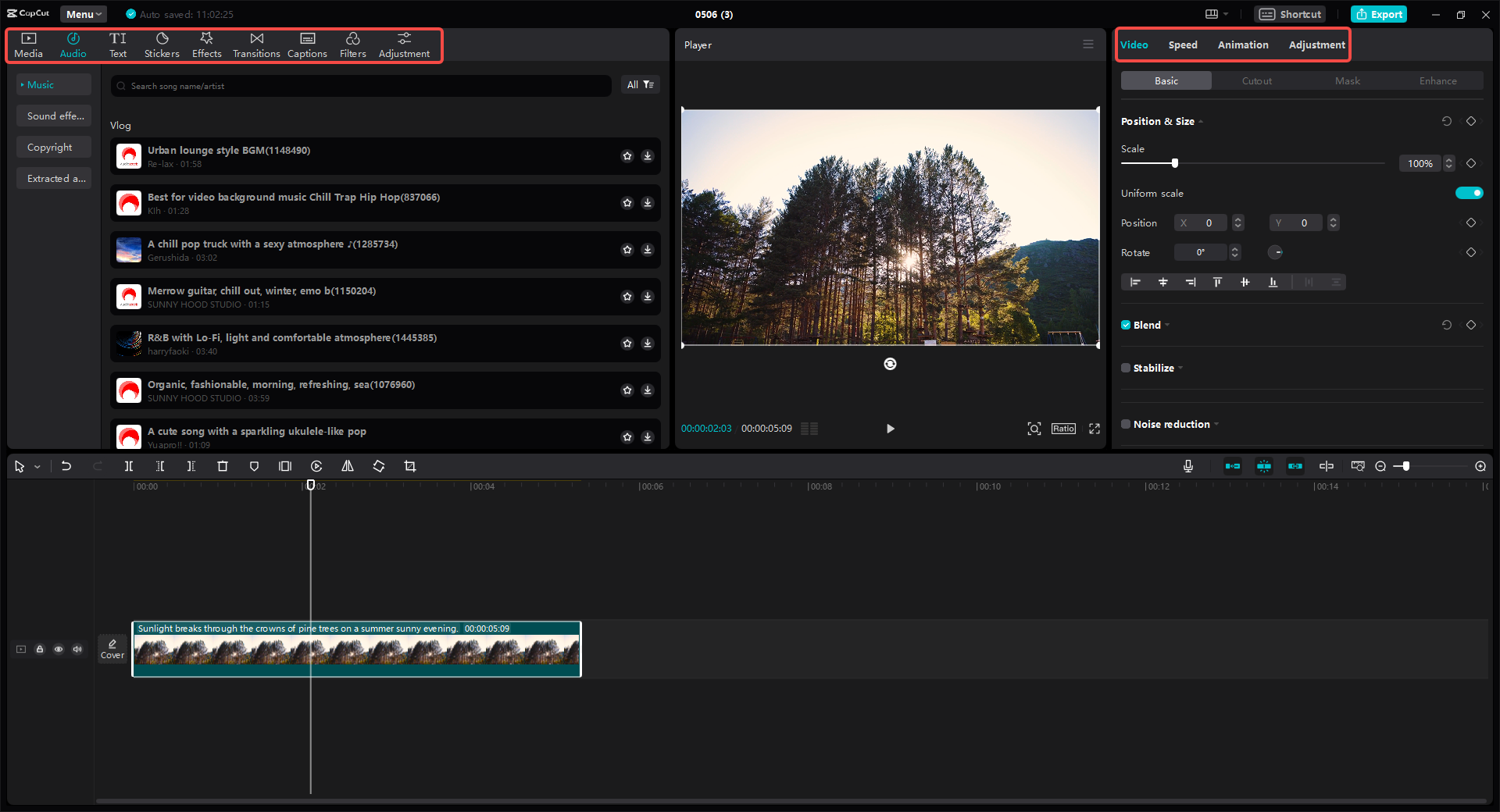 CapCut video editor