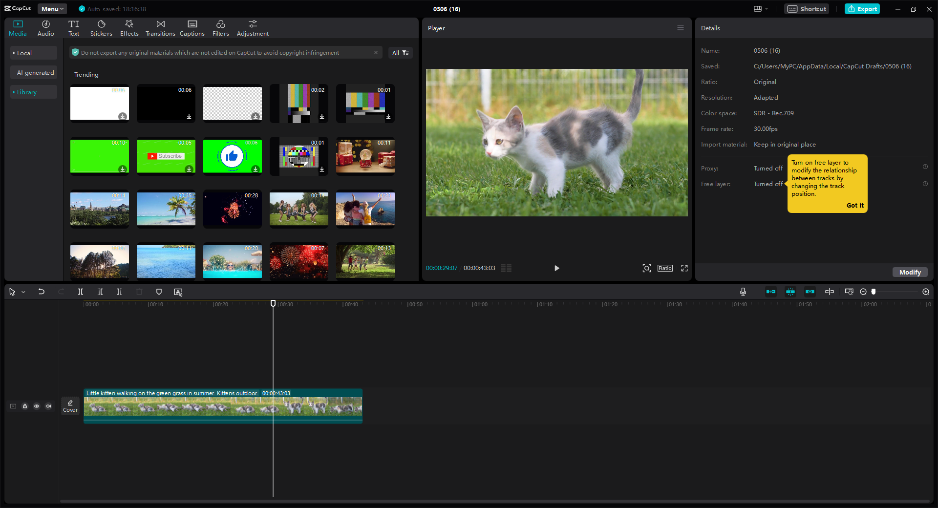 CapCut video editor