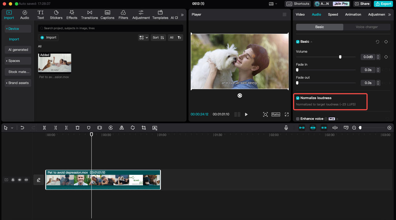 CapCut's loudness normalization feature