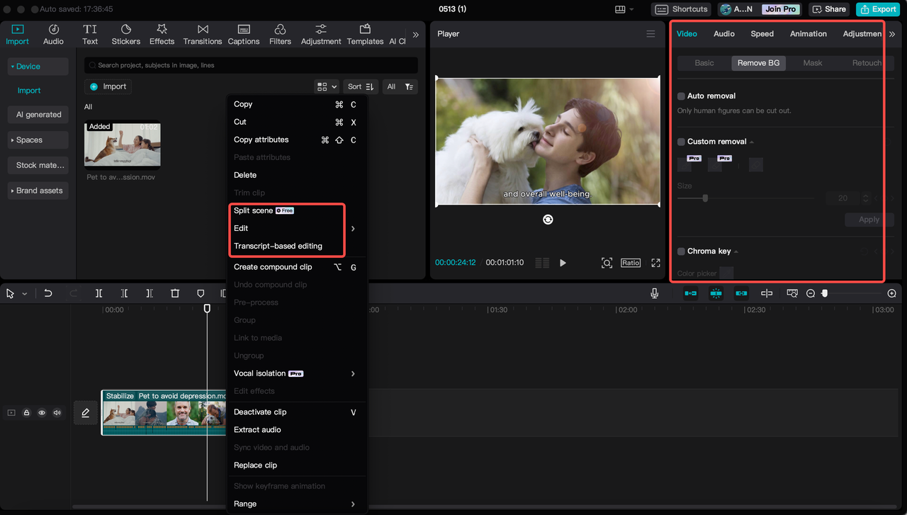 editing features available in CapCut, such as background removal, split scene and transcript-based editing