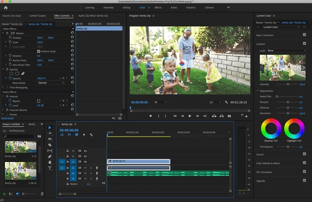 Adobe Premiere Pro CapCut alternative interface