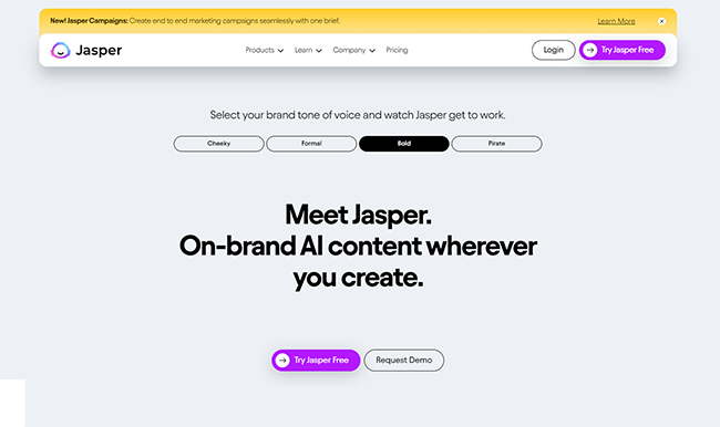 Managing your AI-driven marketing campaign using Jasper