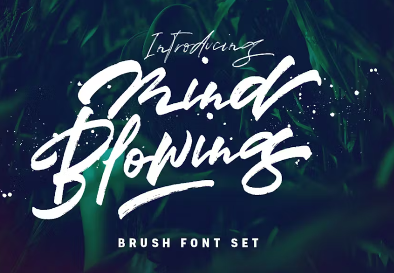 Free Calligraphy Fonts Generator| Copy Paste Fancy Letters