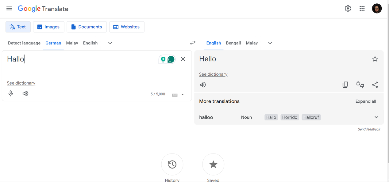 Google translate German to English voice 