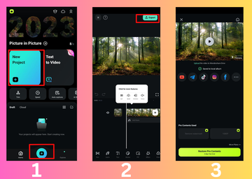 FlimoraGo App interface shows how to edit and export the video