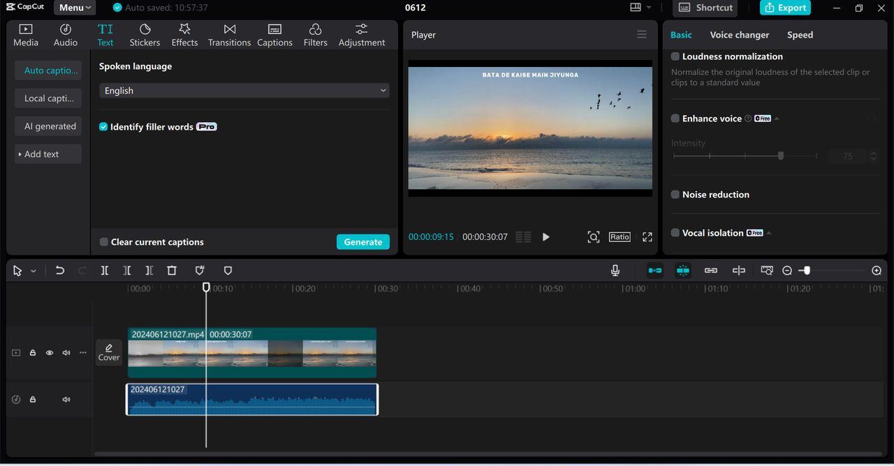 CapCut desktop video editor showing audio editing tools