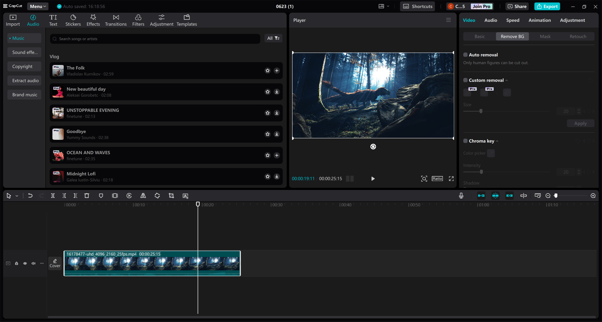 CapCut video editor