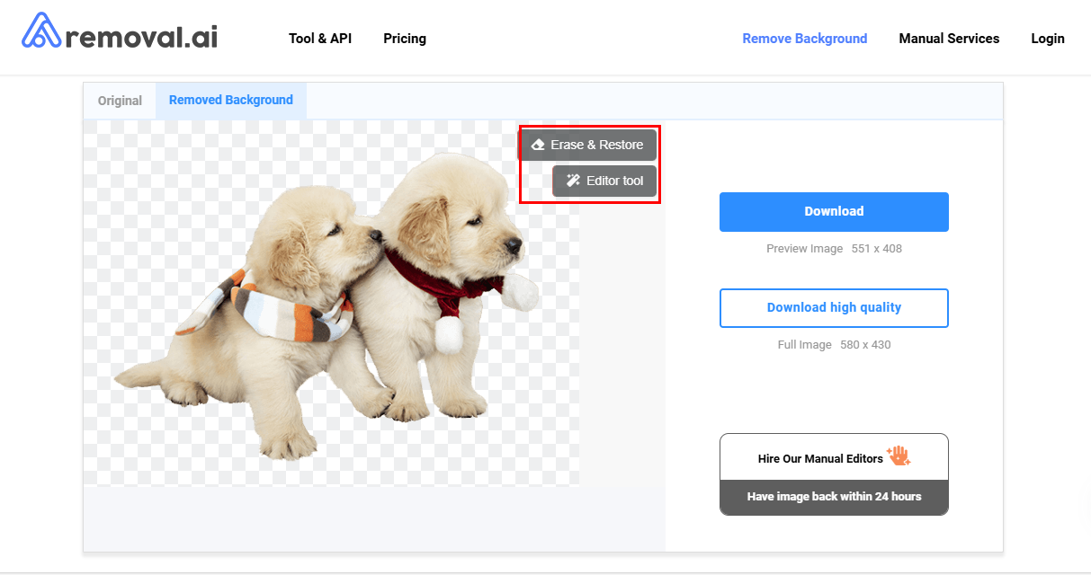 Removal.AI interface showing transparent background and editing tools