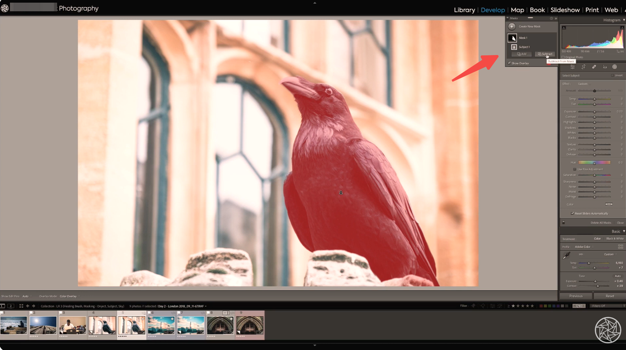 Lightroom's intelligent selection tools