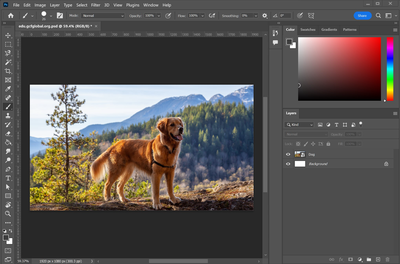 Uploading images for color match in Photoshop