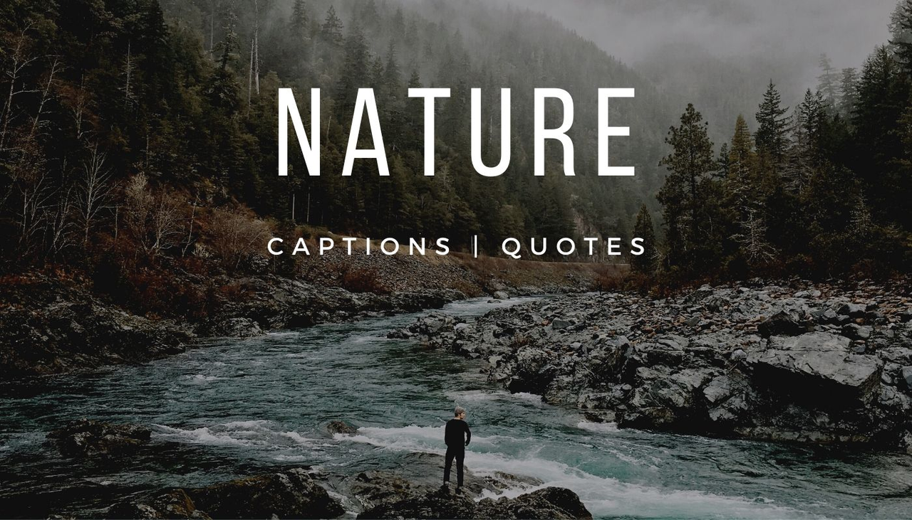 Instagram quotes about nature