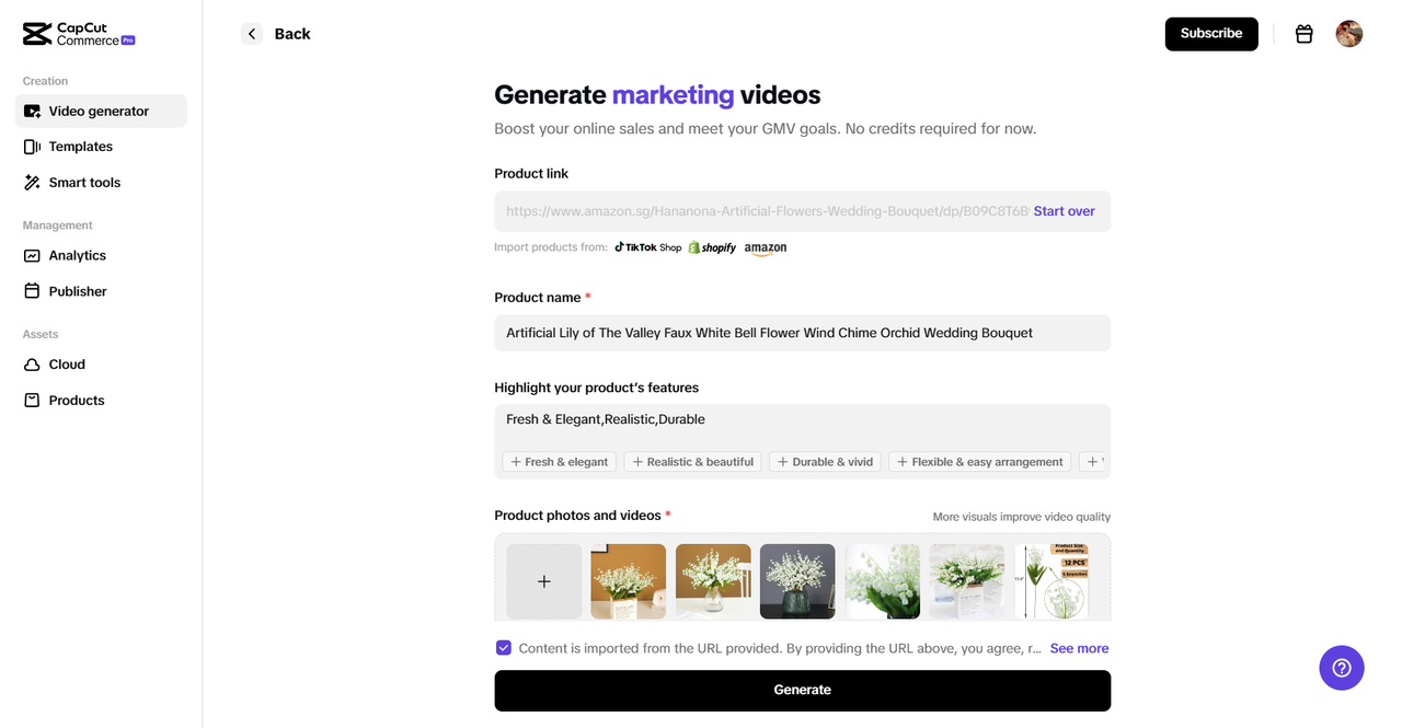 Generate business video through URL