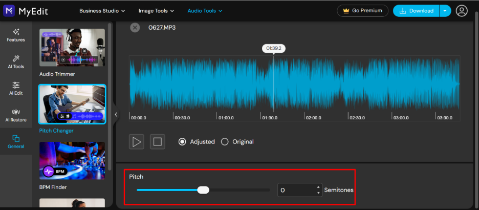 Changing the Pitch with MyEdit - a robust online audio pitch changer