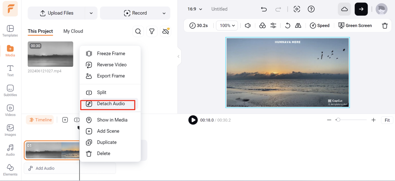 Interface of the FlexClip showing how to make a ringtone from a video 