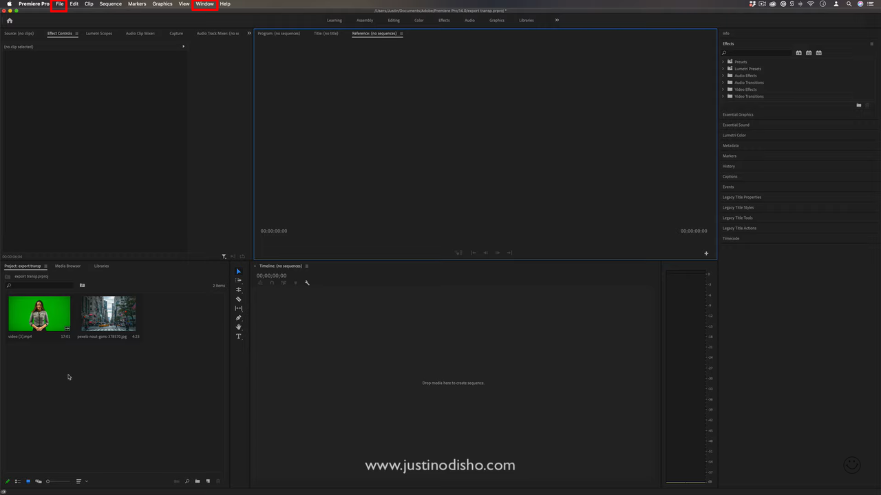 Importing media in Premiere Pro to remove background