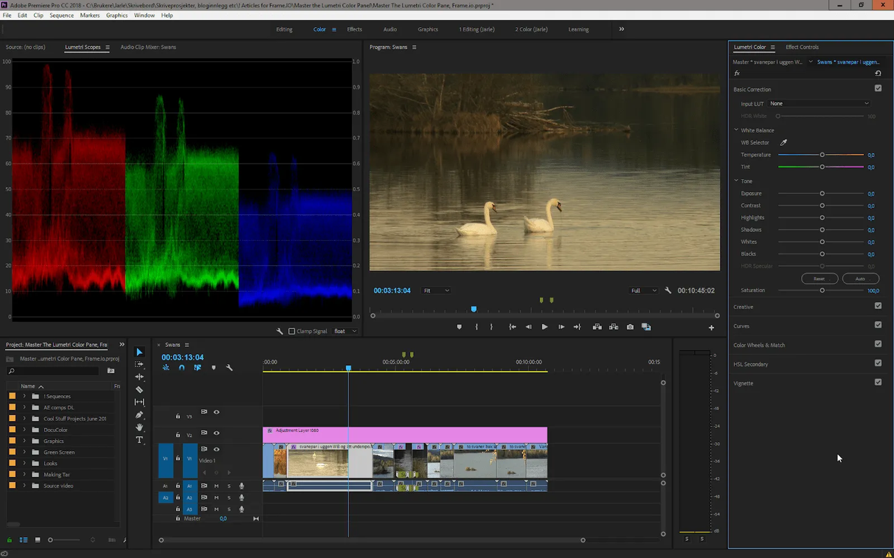 Interface of Adobe Premiere Pro - a well-known video editor for color grading