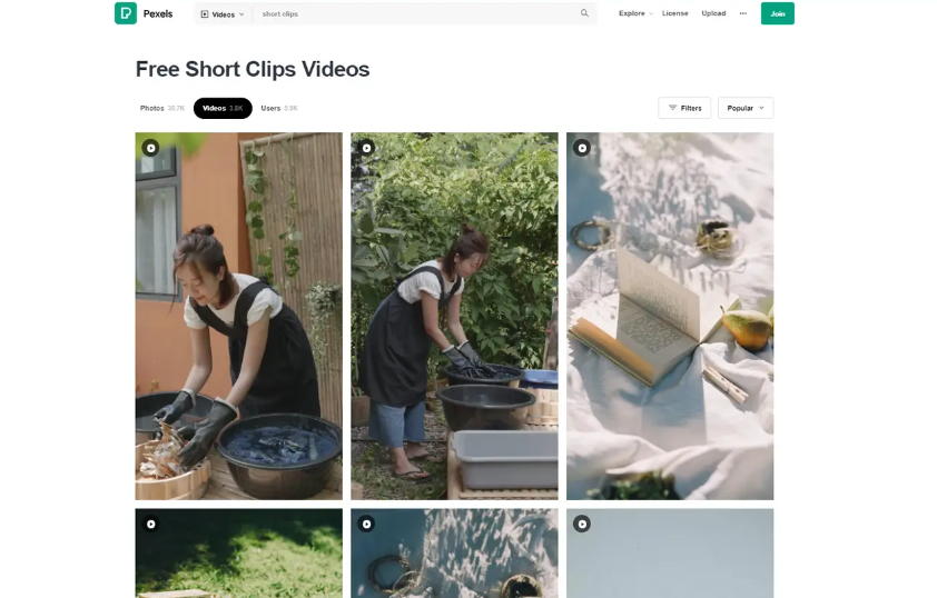 Pexels provides short clip stock videos for free