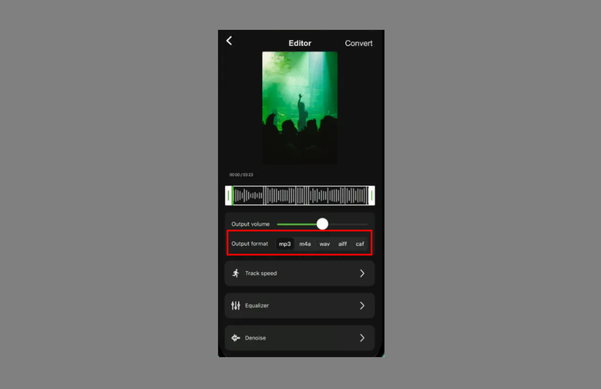 Selecting the mp3 output format