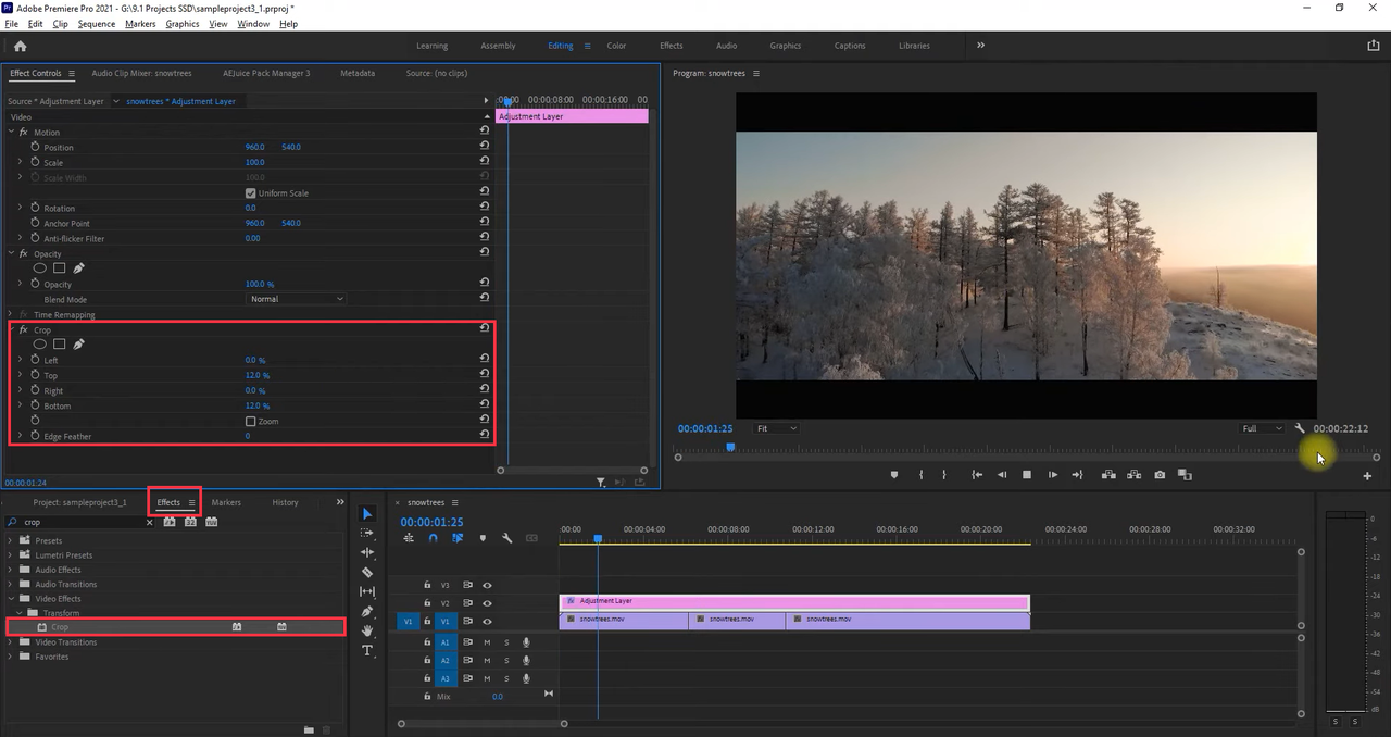 Interface showing how to add cinematic bars in Premiere Pro 